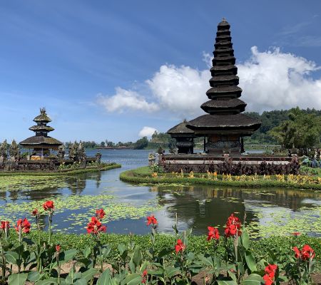 about Bali Trip Host