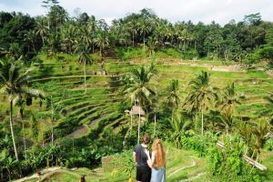 Bali Trip Host Tour - Article title