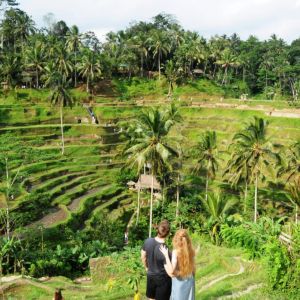 Bali Trip Host Tour - Ubud Tour