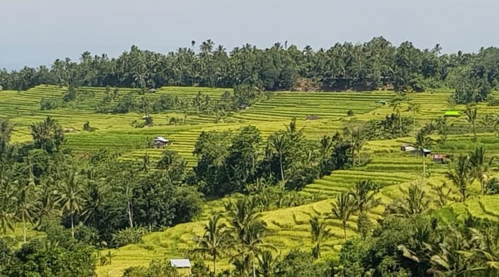Bali Trip Host Tour - Bedugul Jatiluwih